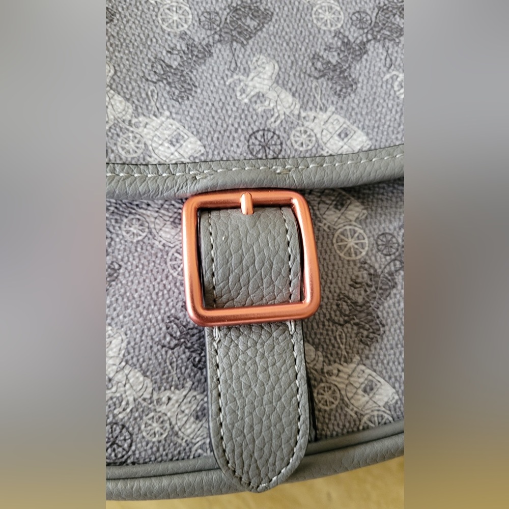 Coach Hitch Crossbody With Horse And Carriage Print Gem